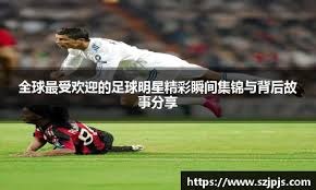 提供了复